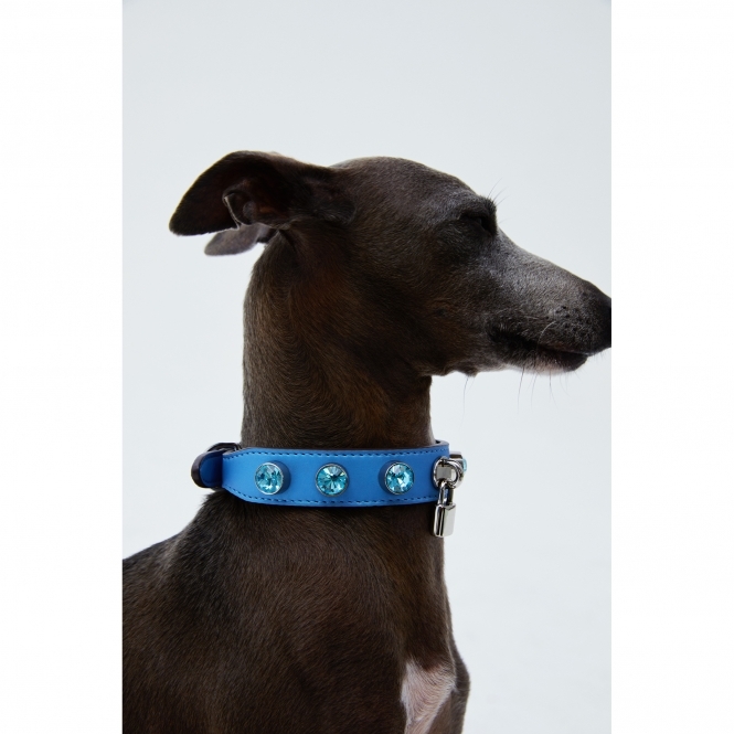 Bling Collar