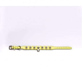 Bling Collar