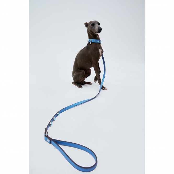 Bling Leash