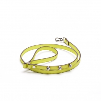Bling Leash