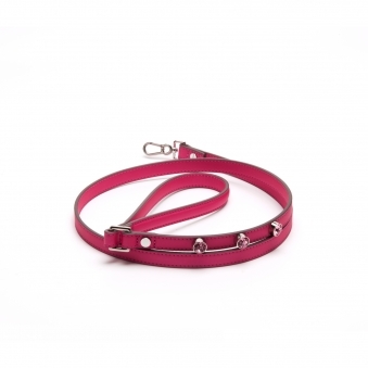 Bling Leash