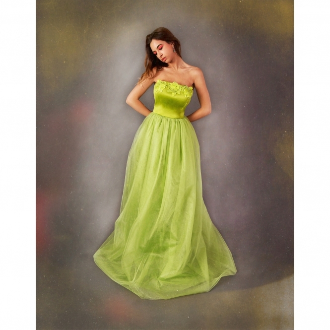 Corset Dress with Hand Embellished Embroidery