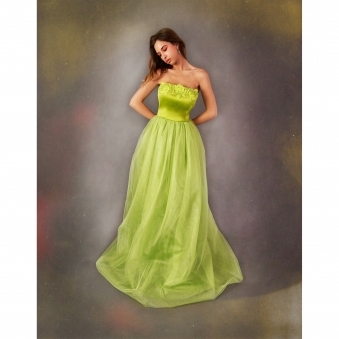Corset Dress with Hand Embellished Embroidery