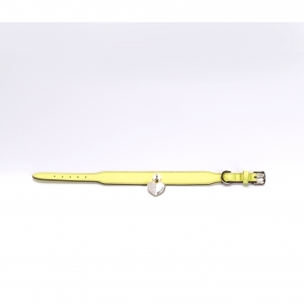 Heart Collar