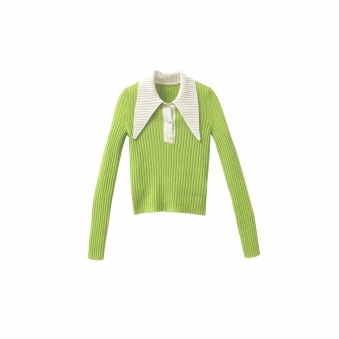 Plain T-Shirt Collar Cashmere Sweater
