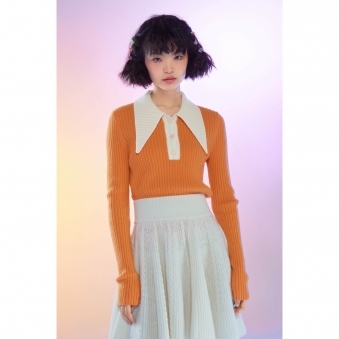 Plain T-Shirt Collar Cashmere Sweater