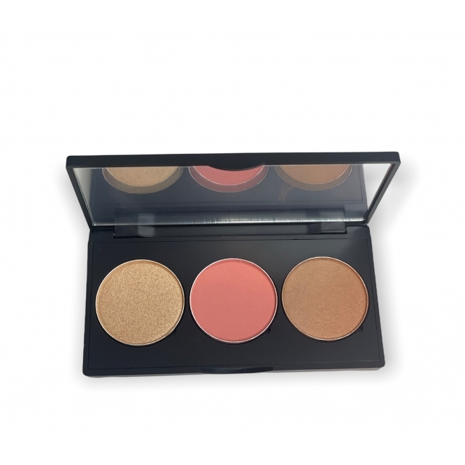 Pro Cheek Palette