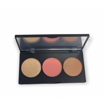 Pro Cheek Palette