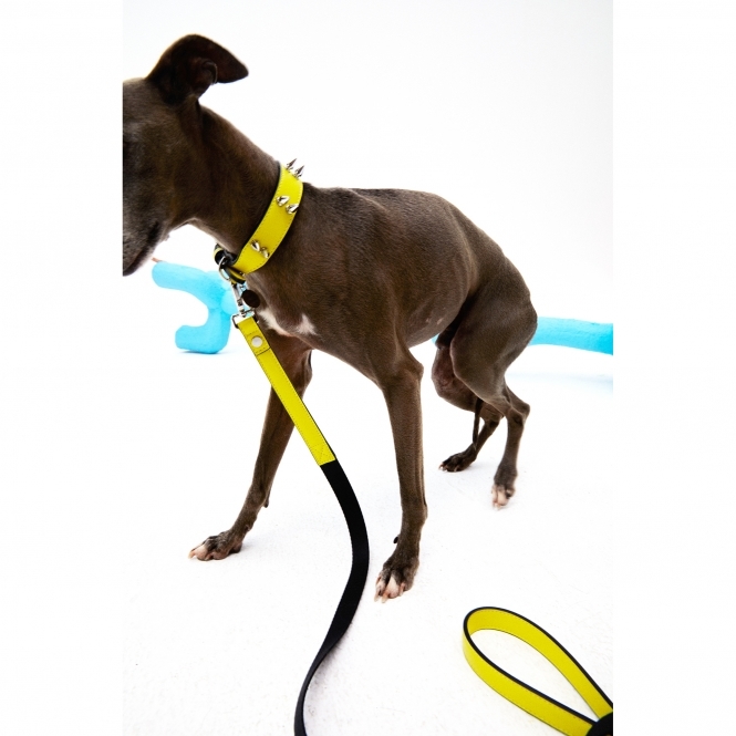 Ribbon Leash