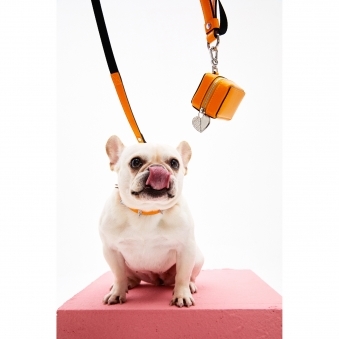 Ribbon Leash