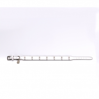Stud Collar