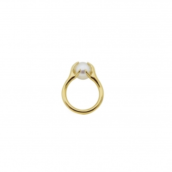 The Apple of My Eye Ring